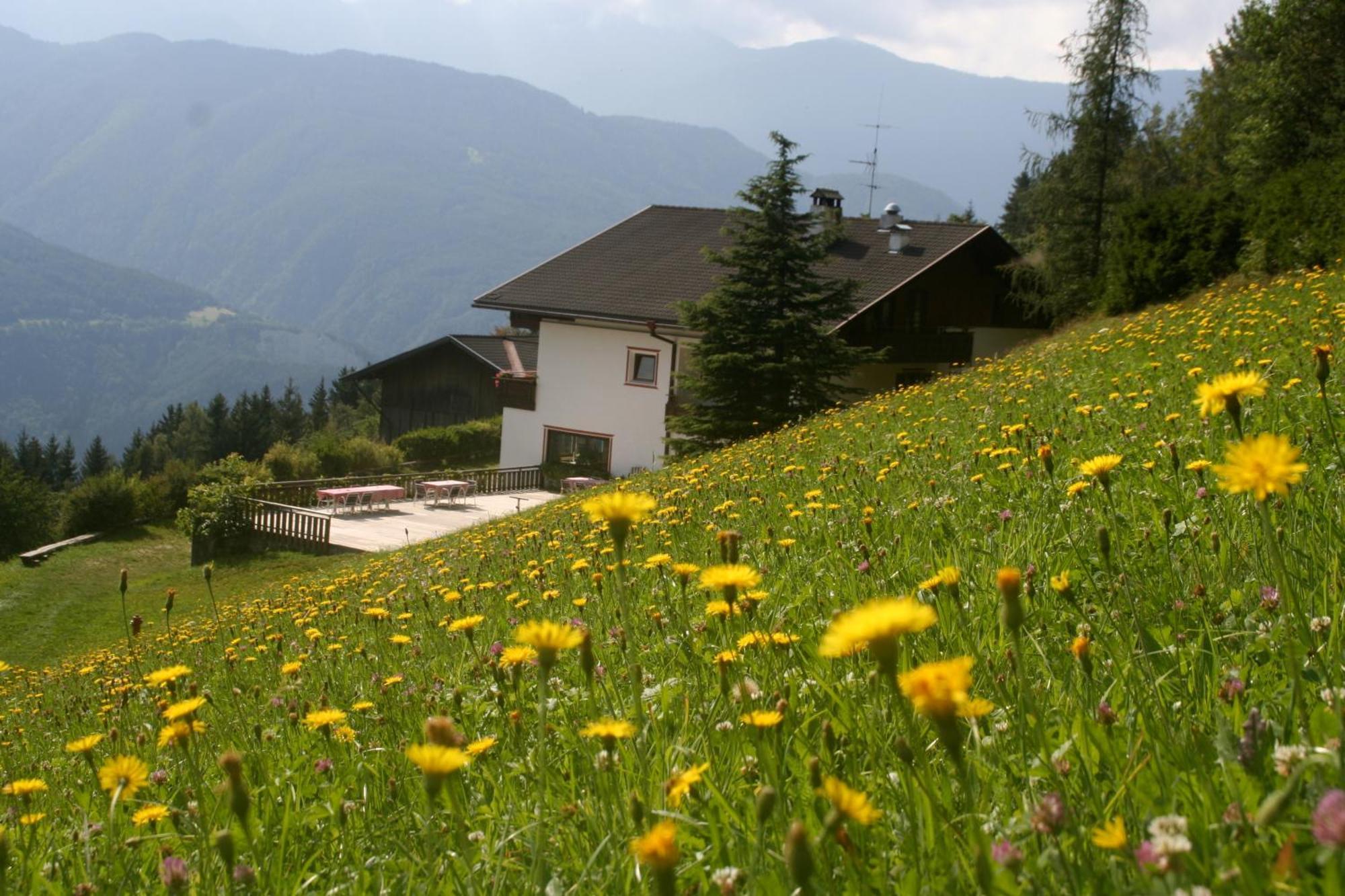 Biogasthaus Plonerhof Бресаноне Екстериор снимка